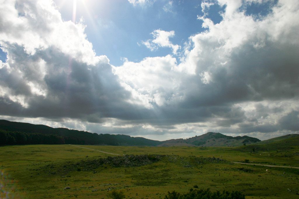 mergiotti_alessia_dalla_montagna_al_mare_3